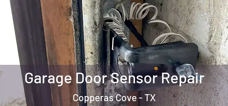 Garage Door Sensor Repair Copperas Cove - TX